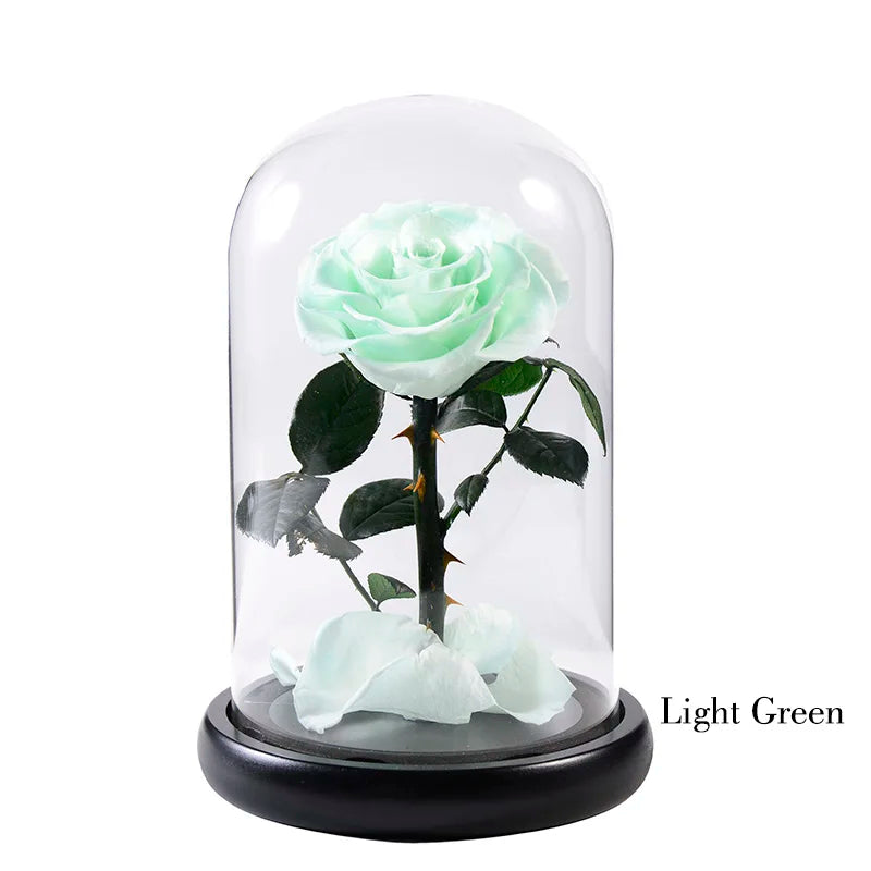 Wholesale Flor Eterna Preservada Glass Dome Black Single Preserved Beast Rose with flower long stem