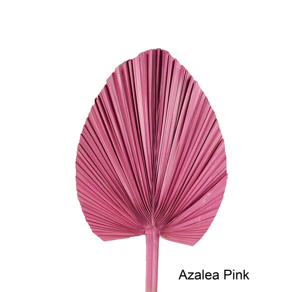 Wholesale Real Natural Blue Palm Spears Preserved Arrow Foliage Stabilized Plants Dried Palm Leaves