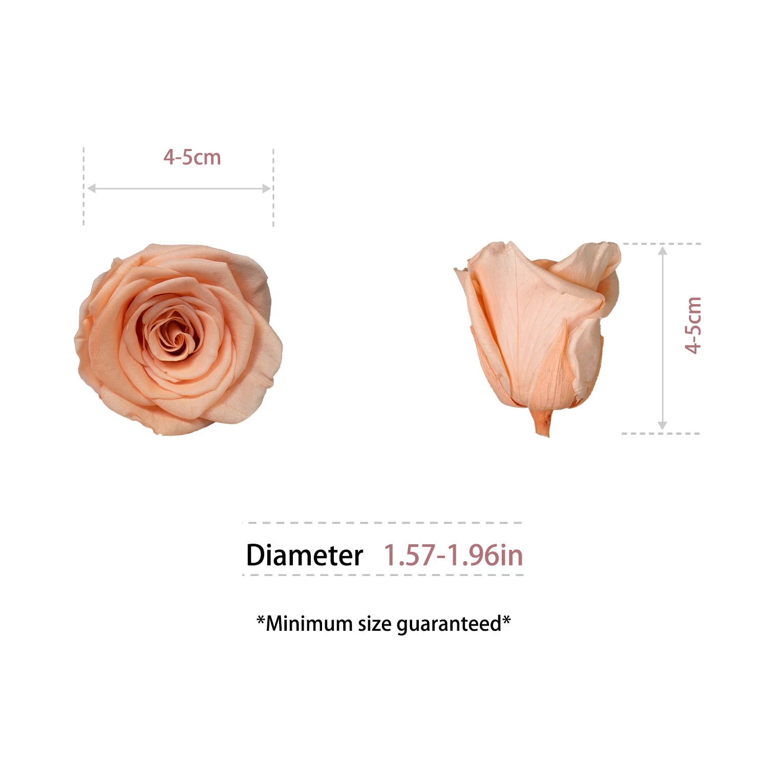 Factory Wholesale Preserved Flowers Eternity Roses Eternal Forever Roses Heads 4-5cm Preserved Rose Head