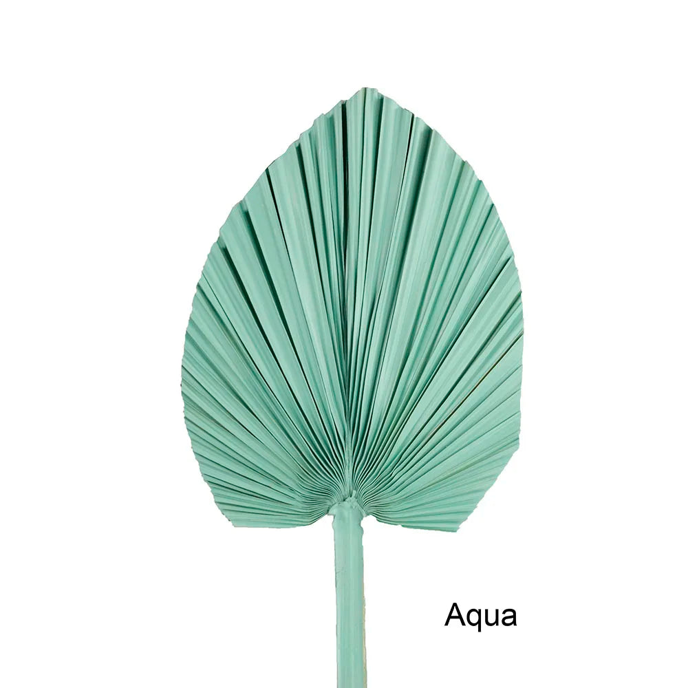 Wholesale Real Natural Blue Palm Spears Preserved Arrow Foliage Stabilized Plants Dried Palm Leaves