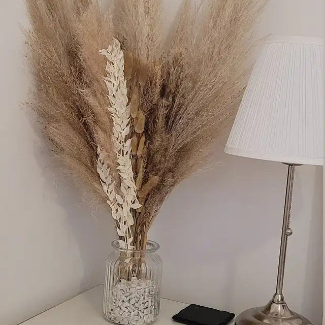 Boho Decor Bunny tails Pampass Dried Flower Arrangements Lagurus Ovatus Tall Pampas Pompas Grass Bouquet