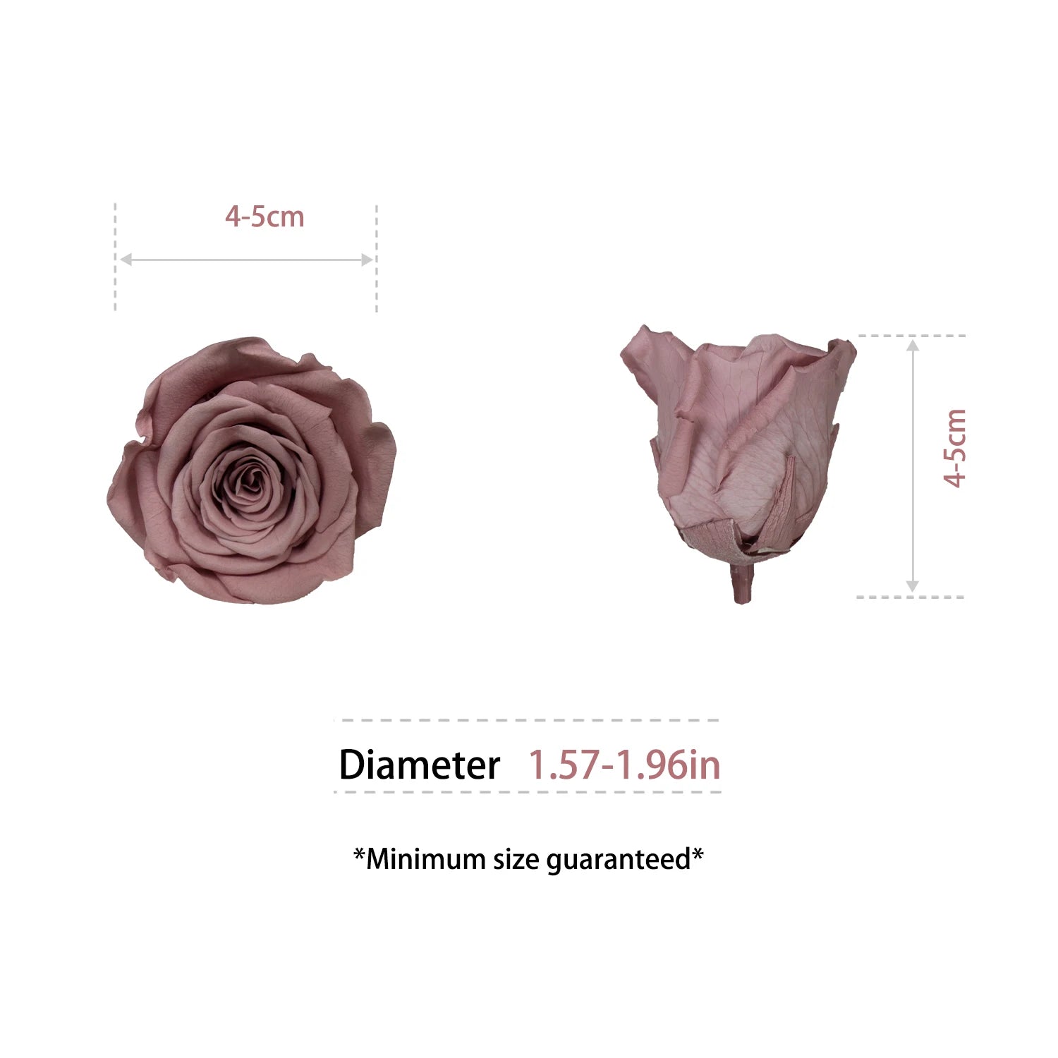 Infinity Long Lasting Dried Forever Eternal Flower Buds Preserved Roses Head for Flower Decoration