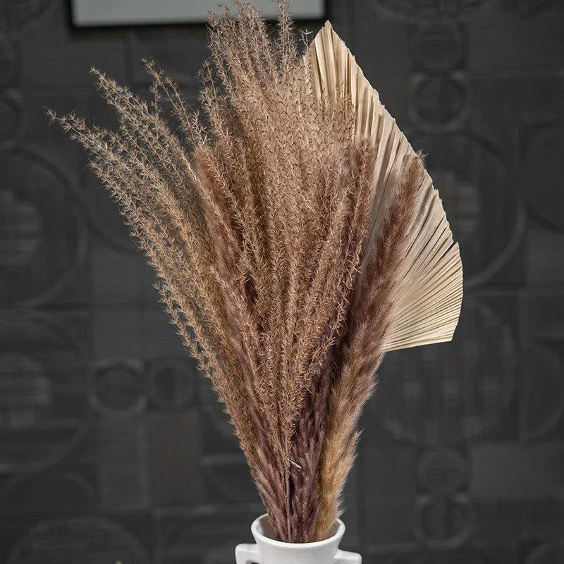 Dry Real Natural Plant Home Wedding Bridal Decor Flower Bunches Arrangements Preserved Dried Flowers Bouquet