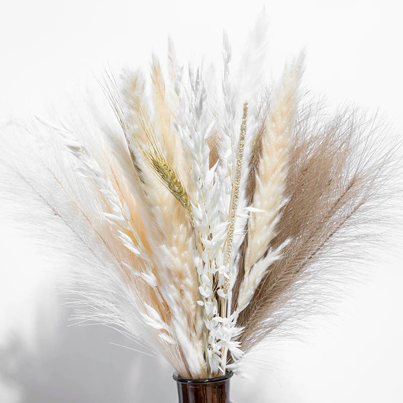 Boho Decor Bunny tails Pampass Dried Flower Arrangements Lagurus Ovatus Tall Pampas Pompas Grass Bouquet
