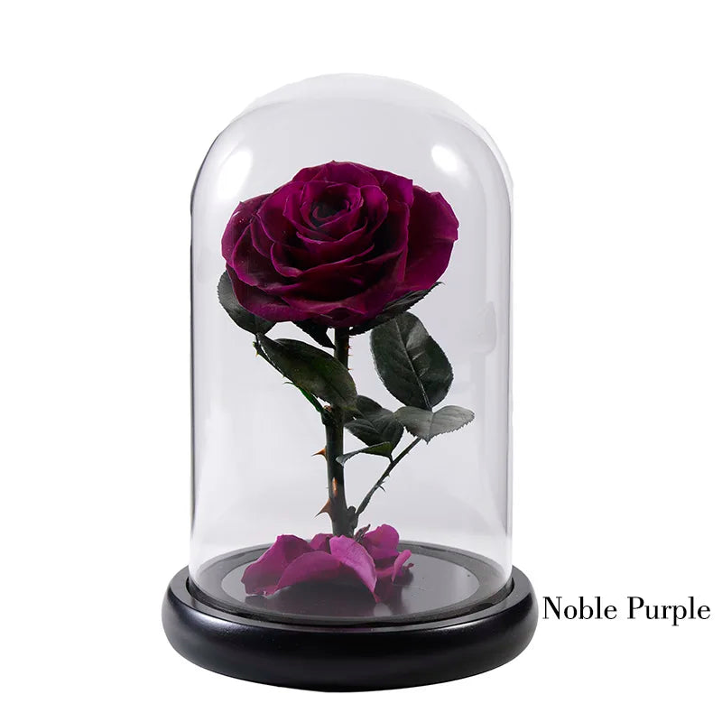 Wholesale Flor Eterna Preservada Glass Dome Black Single Preserved Beast Rose with flower long stem
