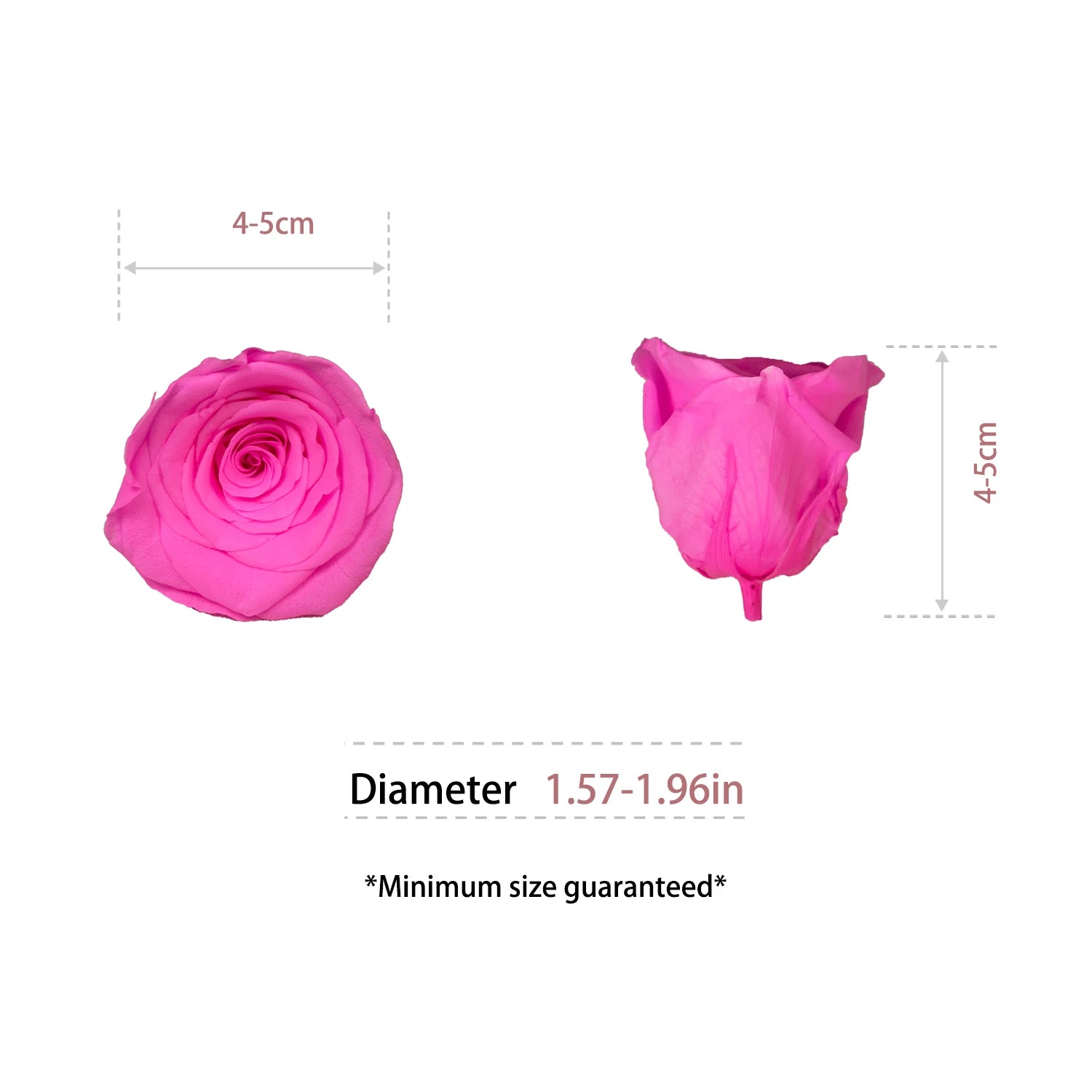 Infinity Long Lasting Dried Forever Eternal Flower Buds Preserved Roses Head for Flower Decoration